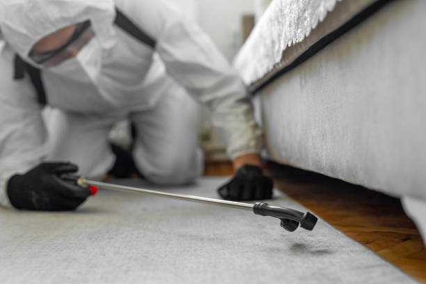 Professional Bed Bug Control technician working in Webster County County, WV